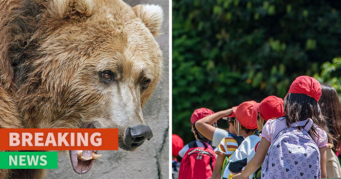 Grizzly Bear Attacks Class Of Kids, Who Are Left Desperately Fighting For Their Lives