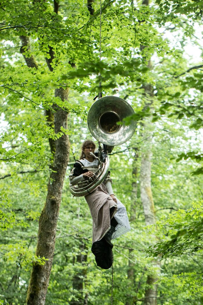 Person playing tuba while suspended in trees, one of the bizarre and creepy things witnessed by park rangers and hikers.