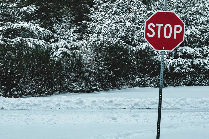 Stop sign standing in snow-covered road with snow-laden trees, illustrating moments gut instinct was 100% correct.