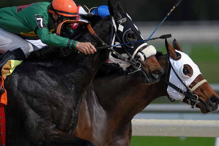Two racehorses and jockeys competing closely during a race, capturing moments when gut instinct was correct.