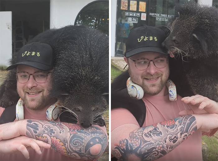 Man with a tattooed arm wearing glasses and headphones smiling with a bearcat perched on his shoulders in wholesome photo.