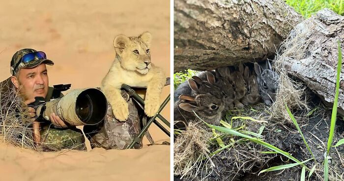 You’ve Probably Seen Enough Horrible Things Today, Here Are 50 “Eye Bleach” Pics To Restore The Balance (New Pics)