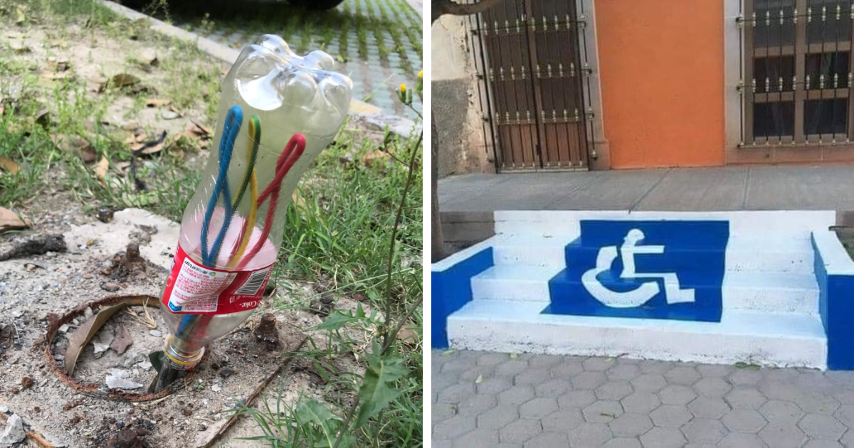 25 Fallos de personas que siguieron las instrucciones demasiado literalmente