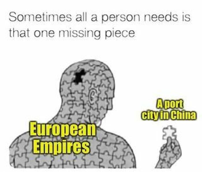 Puzzle illustration of a person with European Empires text missing a piece labeled a port city in China, history memes concept.