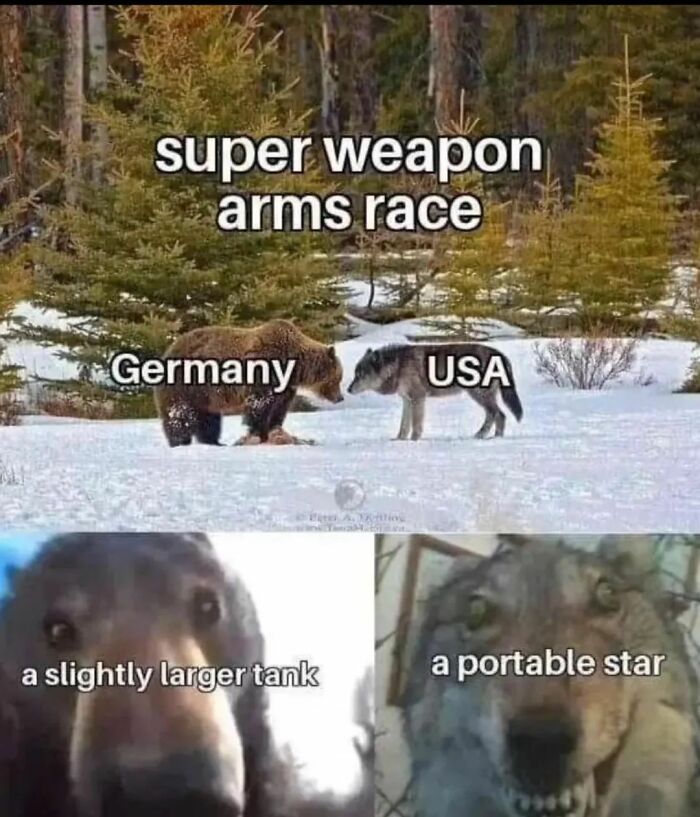 Funny history meme showing Germany as a bear and USA as a wolf in a super weapon arms race joke.