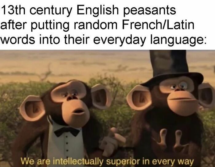 Two animated monkeys dressed in formal attire with text about 13th century English peasants using French and Latin words, history memes.