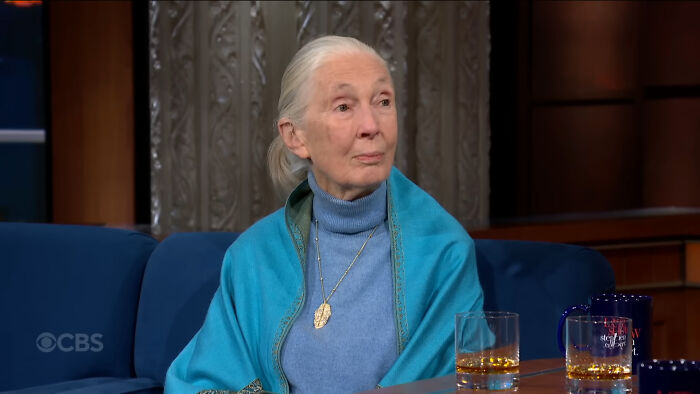 Elderly woman wearing a blue shawl, sitting on a talk show set with drinks on the table in front of her.
