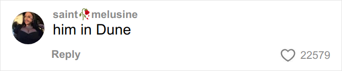 Screenshot of a social media comment mentioning Timoth&eacute;e Chalamet in Dune amid EsDeeKid masked rapper theory discussion.