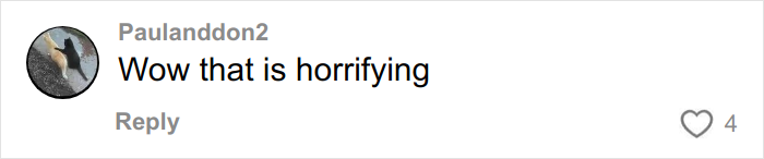 User comment on social media saying wow that is horrifying, related to Kim Kardashian's excuses for failing the bar exam. User comment on social media saying wow that is horrifying, related to Kim Kardashian's excuses for failing the bar exam.