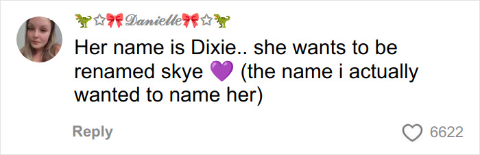Comment from user Danielle explaining her daughter wants to change her racist name after school bullying.