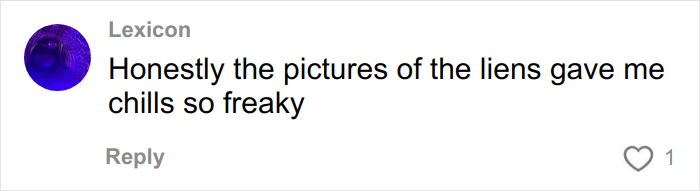 Mormon Women Go Crazy Over &ldquo;More Revealing&rdquo; Version Of Sacred Underwear, Line Up For Hours Outside Stores