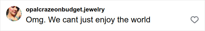 Comment reading Omg. We cant just enjoy the world on social media post about woman revealing disturbing truth about solo traveling.