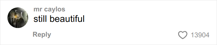 Comment saying still beautiful with a heart icon and 13904 likes shown on a white background.