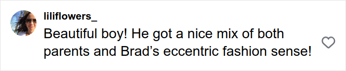 Comment praising Angelina Jolie and Brad Pitt's son Knox for his unique mix of parents' traits and bold fashion sense on social media.
