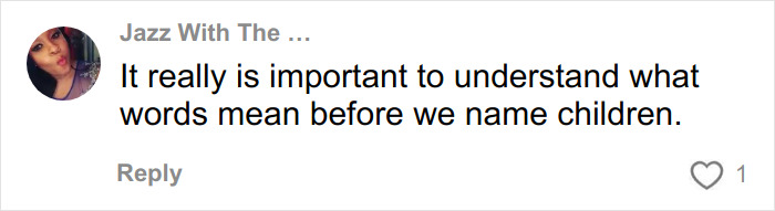 Comment on social media emphasizing the importance of understanding word meanings before naming children amid bullying over racist name.