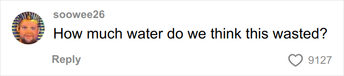 Comment by user soowee26 asking how much water they think was wasted, with 9,127 likes displayed.