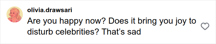 Comment on social media from fan who attacked Ariana Grande at premiere expressing disappointment about disturbing celebrities.