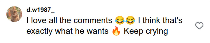 Fan comment on social media with laughing and fire emojis, reacting to Alexander Skarsg&aring;rd's perfect man unique detail.