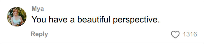 Comment by Mya saying You have a beautiful perspective on a social media post with 1316 likes.