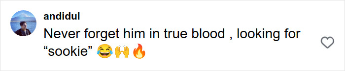 Comment on social media mentioning Alexander Skarsg&aring;rd as the perfect man, referencing True Blood and Sookie.