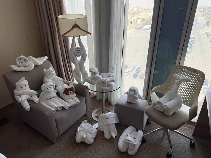 Plush towel animals arranged on chairs and floor by a window, showcasing wholesome internet moments and positive online creativity.