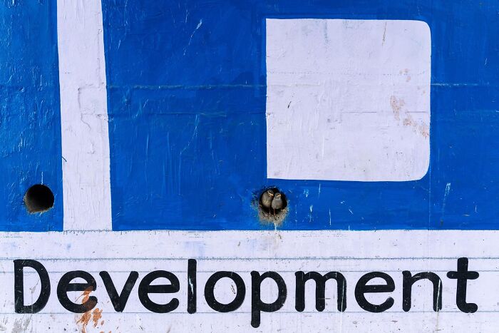 Close-up of a weathered sign with the word development, highlighting texture in an outdoor nature setting.