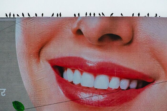 Birds perched in a row on the edge of a large mural showing a close-up of a smiling face with red lipstick.