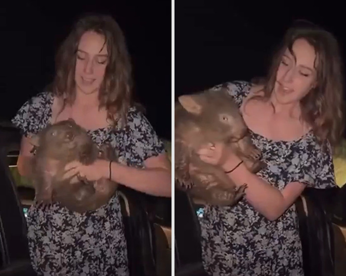 Woman holding a baby wombat at night, related to influencer incident and karma train arrest news.