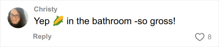 Comment by Christy saying yep with a corn emoji in the bathroom with a response about red flags of a narcissist. Comment by Christy saying yep with a corn emoji in the bathroom with a response about red flags of a narcissist.