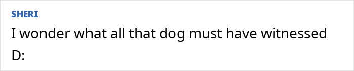 Text comment on white background saying I wonder what all that dog must have witnessed D, relating to mystery surrounding influencer&rsquo;s vanishing.