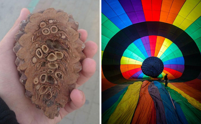 50 Interesting Pictures Showing The Insides Of Things We Rarely See (New Pics)