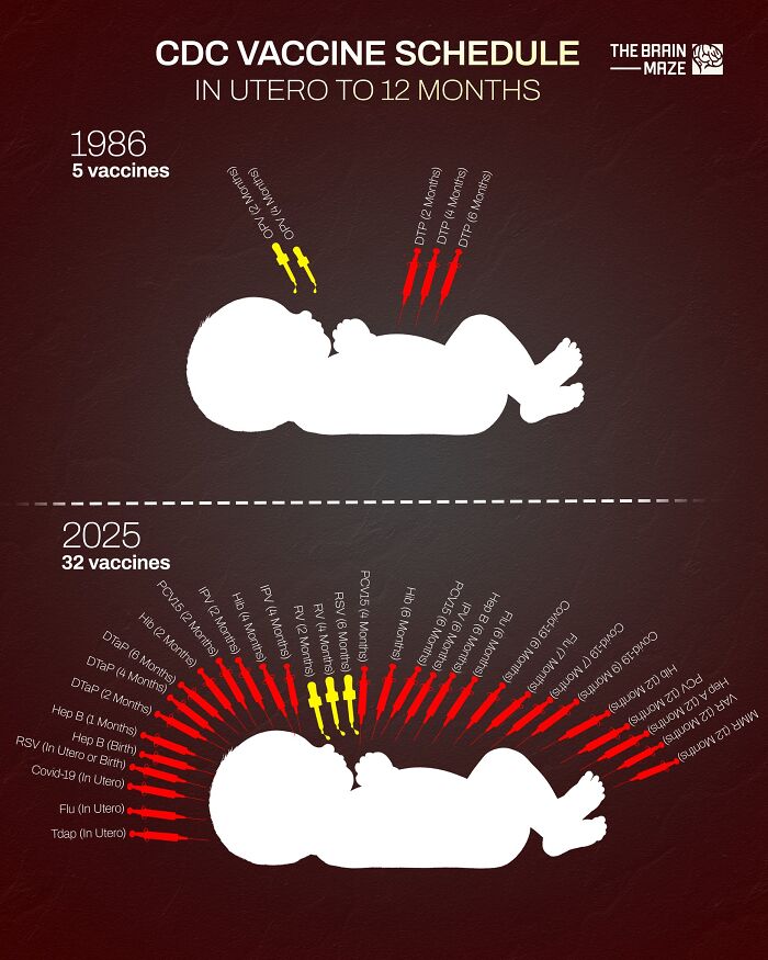 Infographic showing CDC vaccine schedule changes from 1986 to 2025 with impact on the human body development.