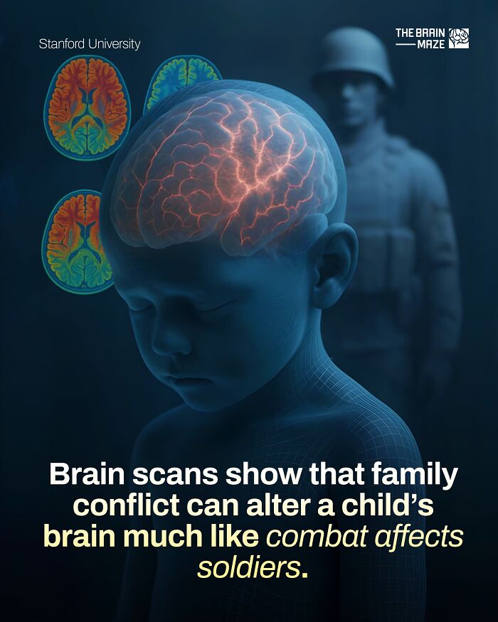Child’s brain scans reveal how family conflict alters brain function similar to combat effects on soldiers, human body facts.