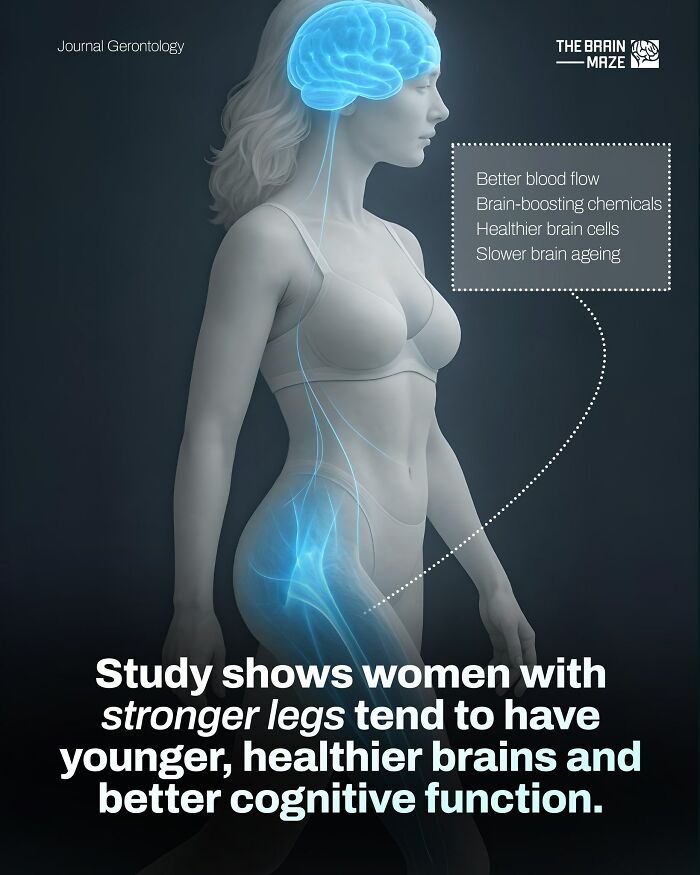 Woman with glowing brain and leg bones illustrating facts about the human body linking leg strength to brain health.