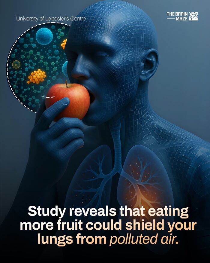 3D digital human eating an apple highlighting lungs glowing from protection against polluted air in human body facts.