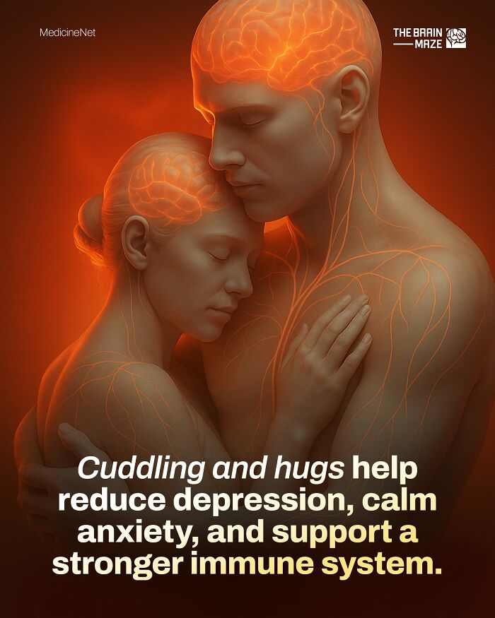 Two people embracing with glowing brain and nerve pathways, illustrating facts about the human body and immune system.