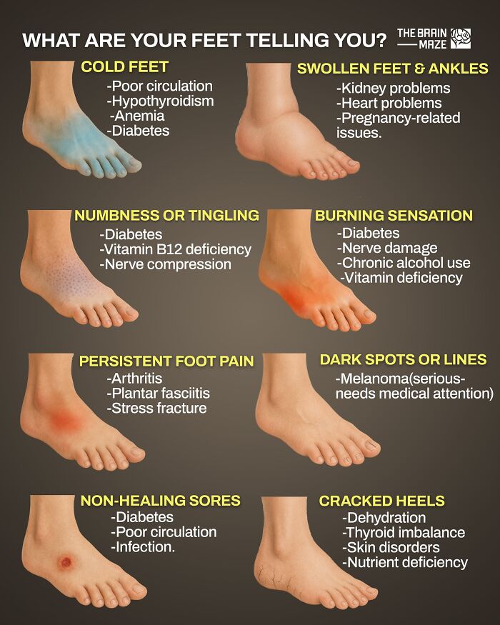 Diagram showing common foot conditions like cold feet, swollen feet, numbness, and c*****d heels with causes, related to human body facts.