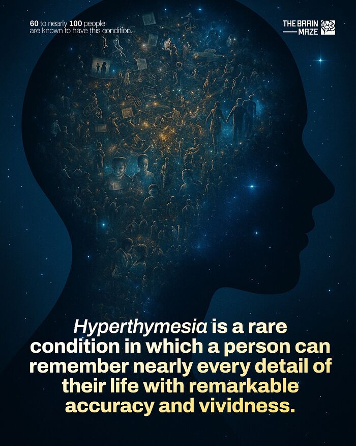 Silhouette of a human head filled with images representing memory, illustrating incredible facts about the human body.