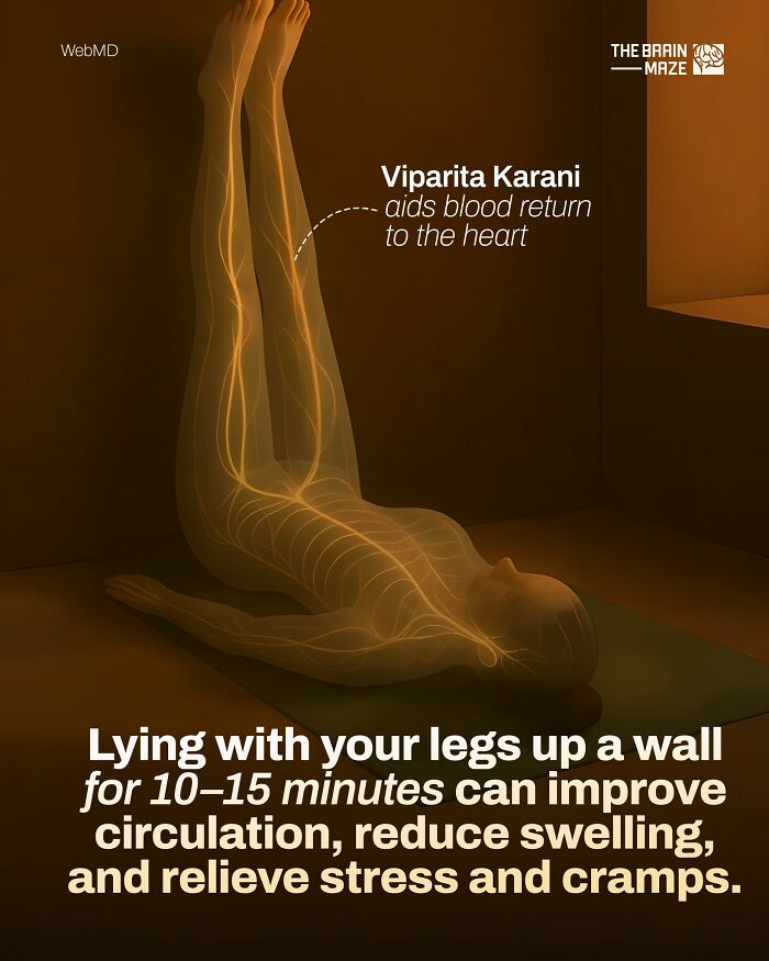 Illustration of the human body demonstrating Viparita Karani pose to aid blood flow and improve circulation and health.