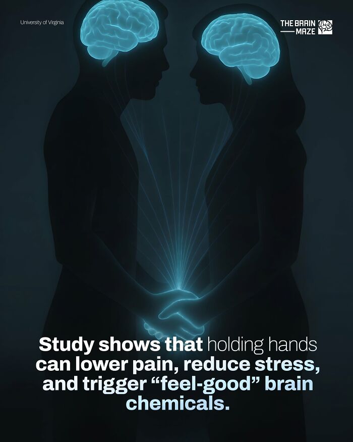 Silhouettes with glowing brains holding hands illustrating brain chemicals that reduce stress and pain in the human body.