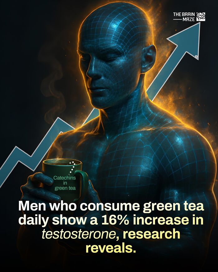 Digital illustration of a man holding a cup, highlighting incredible facts about the human body and testosterone increase from green tea.