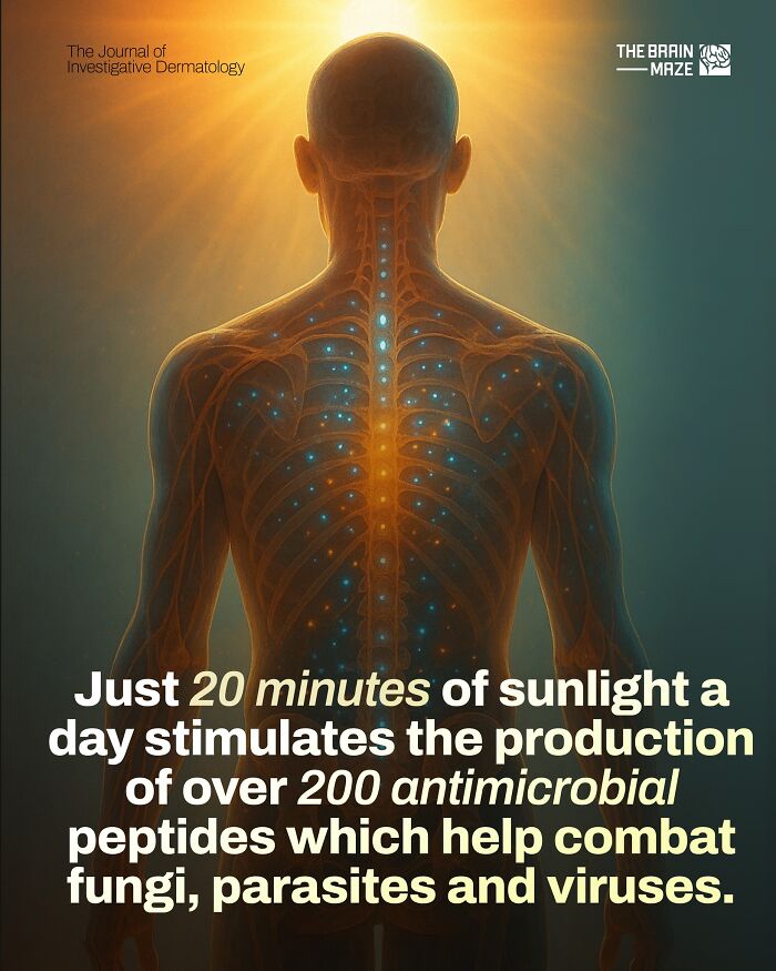 Human body illustration showing how 20 minutes of sunlight boosts antimicrobial peptides to fight fungi, parasites, and viruses.