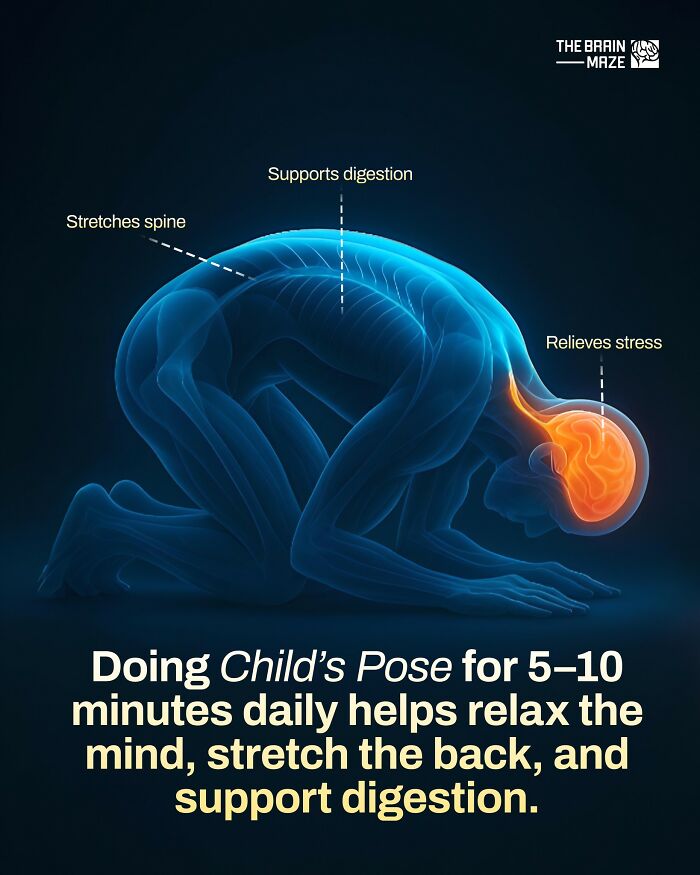 Human body illustration showing Child’s Pose benefits: relaxes mind, stretches spine, and supports digestion for health facts.