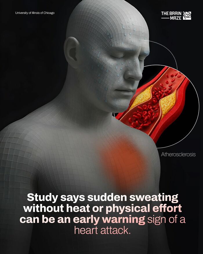 3D medical illustration of human body showing atherosclerosis and early warning signs of a heart attack human body facts.