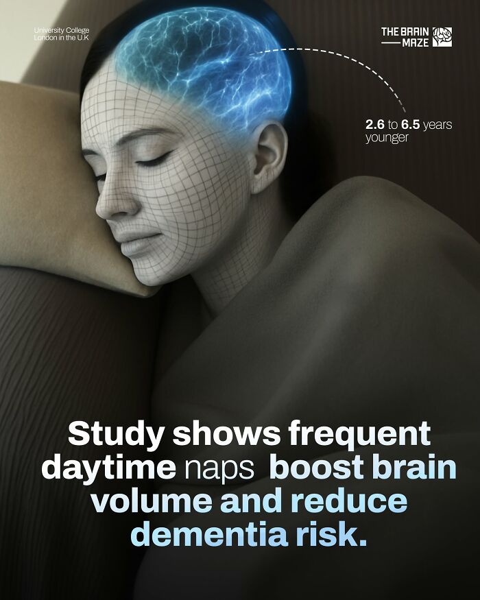Woman sleeping with digital brain illustration highlighting increased brain volume from naps in human body facts image.