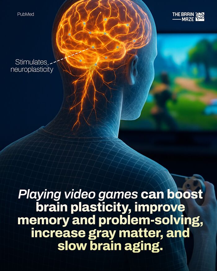 3D illustration of a human brain highlighting neuroplasticity with facts about the human body and brain health benefits.