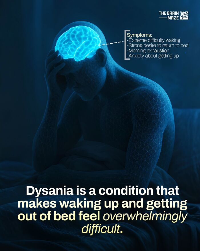 Person holding head with highlighted brain illustrating dysania symptoms, an incredible fact about the human body.