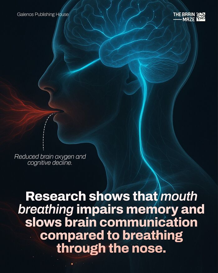 Side profile illustration of human body highlighting brain effects of mouth breathing on memory and brain communication.
