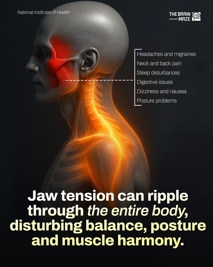 Human body diagram showing jaw tension effects on posture, balance, and muscle harmony with related health issues highlighted.