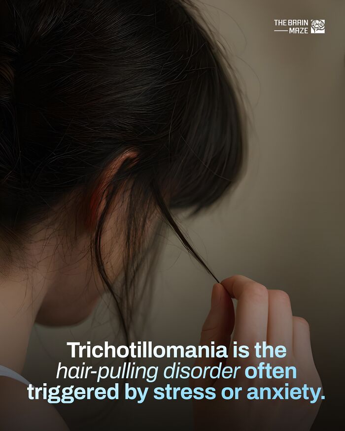 Close-up of a person pulling hair, illustrating an incredible fact about the human body and stress-related disorders.